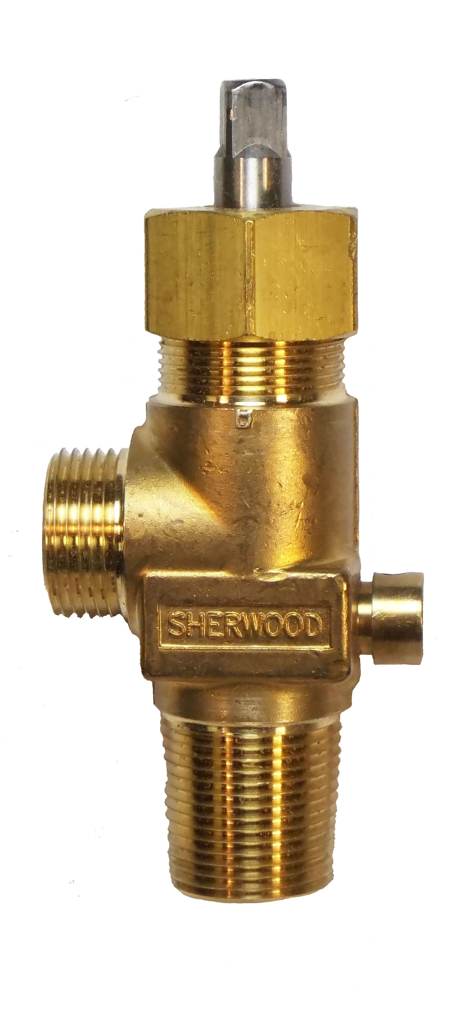 ASB Packed Valves